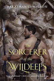Book Cover for The Sorcerer Of The Wildeeps
