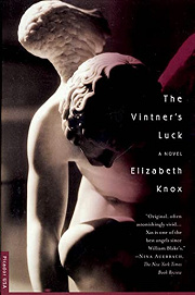 Book Cover for The Vintner's Luck