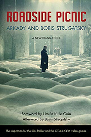 Book Cover for Roadside Picnic