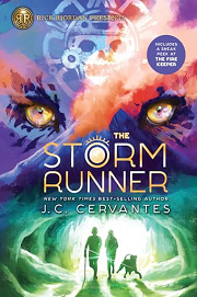 Book Cover for The Storm Runner
