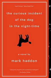Book Cover for The Curious Incident of the Dog in the Night-Time