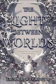 Book Cover for The Light Between Worlds