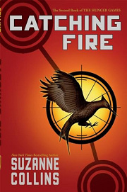 Book Cover for Catching Fire