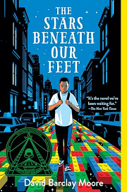 Book Cover for The Stars Beneath Our Feet