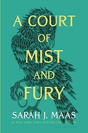 Book Cover for A Court Of Mist And Fury
