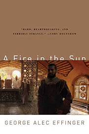 Book Cover for A Fire in the Sun