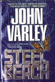 Book Cover for Steel Beach