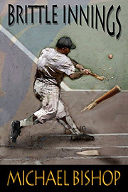 Book Cover for Brittle Innings