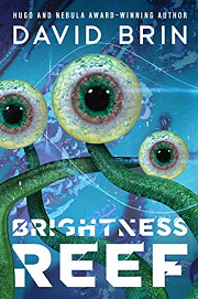 Book Cover for Brightness Reef