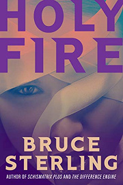 Book Cover for Holy Fire