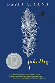 Book Cover for Skellig