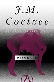 Book Cover for Disgrace