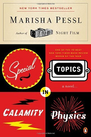 Book Cover for Special Topics in Calamity Physics