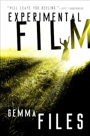 Book Cover for Experimental Film