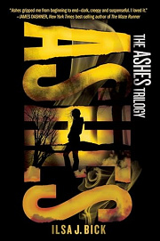 Book Cover for Ashes
