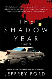 Book Cover for The Shadow Year
