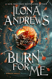 Book Cover for Burn for Me