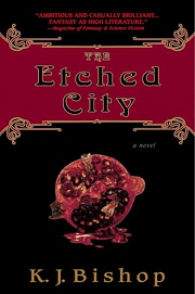 Book Cover for The Etched City