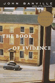 Book Cover for The Book of Evidence