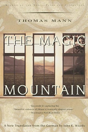 Book Cover for The Magic Mountain
