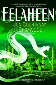 Book Cover for Felaheen