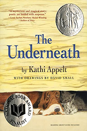 Book Cover for The Underneath