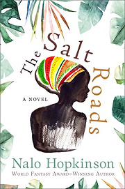 Book Cover for The Salt Roads