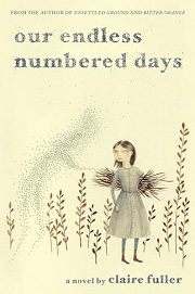 Book Cover for Our Endless Numbered Days
