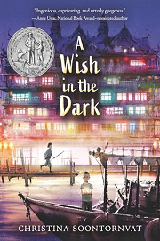Book Cover for A Wish in the Dark