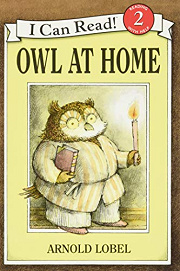 Book Cover for Owl at Home
