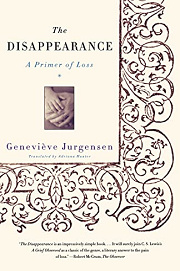 Book Cover for The Disappearance