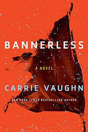 Book Cover for Bannerless