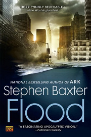 Book Cover for Flood