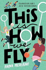 Book Cover for This Is How We Fly