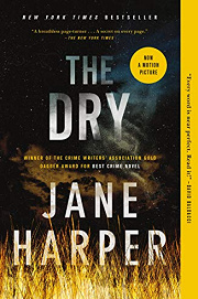Book Cover for The Dry