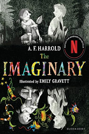 Book Cover for The Imaginary
