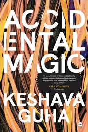 Book Cover for The Accidental Magic