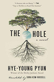 Book Cover for The Hole