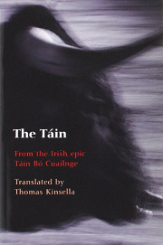 Book Cover for The Táin
