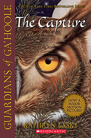 Book Cover for The Capture
