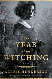 Book Cover for The Year of the Witching