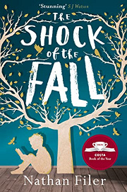 Book Cover for The Shock of the Fall
