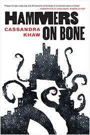 Book Cover for Hammers on Bone