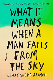 Book Cover for What It Means When a Man Falls from the Sky