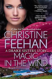 Book Cover for Magic In The Wind