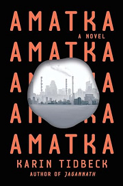 Book Cover for Amatka