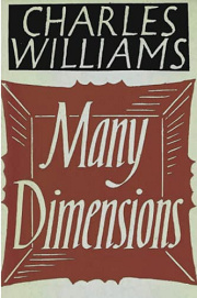Book Cover for Many Dimensions