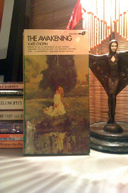 Book Cover for The Awakening