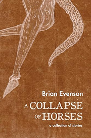Book Cover for A Collapse of Horses