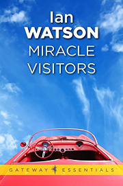 Book Cover for Miracle Visitors